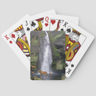 Cartes Jeu de cheval Deck de carte