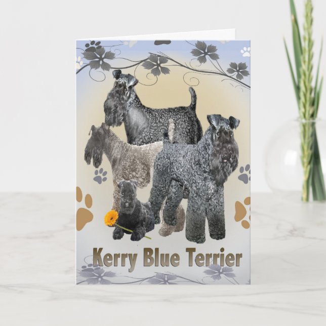 Cartes Kerry Blue (Devant)