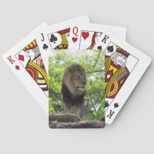 Cartes Lion - Bicyclettes de jeu