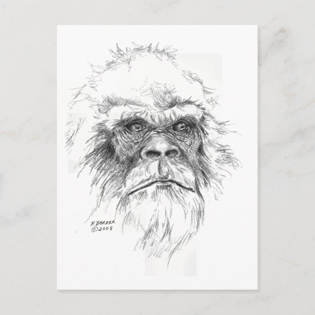 Cartes LTB (Devant)