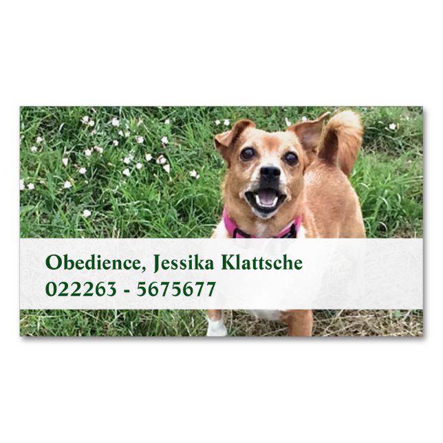 Cartes magnétiques (devant)