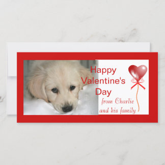 Cartes photos de chiens Heureuses Saintes-Valentin