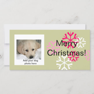 Cartes photos de Noël personnalisées pour chien ro