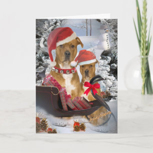 Cartes Pitbull "Père Noël Sleigh"