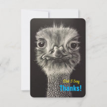 Cartes plates de Merci