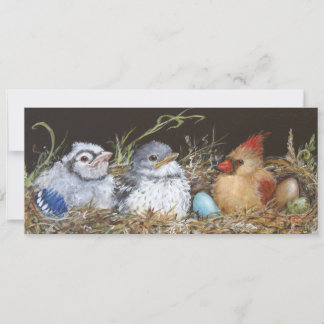 Cartes plates Nest Baby
