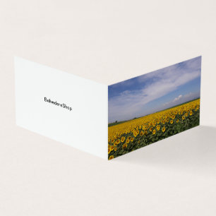 Cartes pliées sur les champs de tournesol