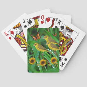 Cartes Pont carte de jeu pour oiseaux