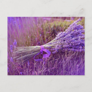 Cartes postale bouquet de lavandes