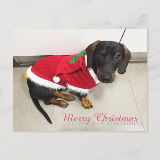 Cartes postales (Devant)