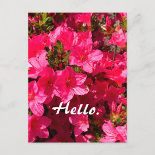 Cartes postales 2 Fleurs Jolies Azalées Roses Bonj