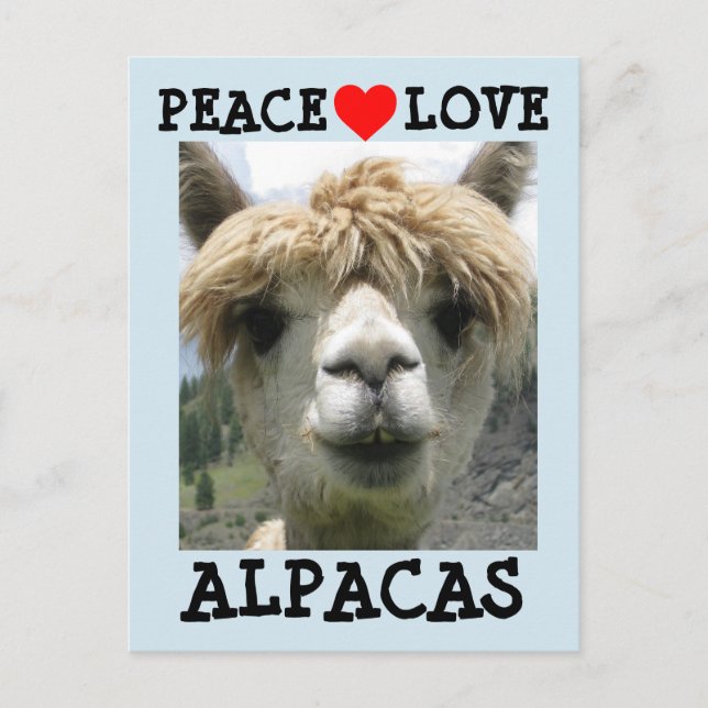CARTES POSTALES ALPACA LOVE (Devant)