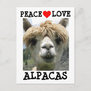 CARTES POSTALES AMOUR ALPACA CARTE POSTALE