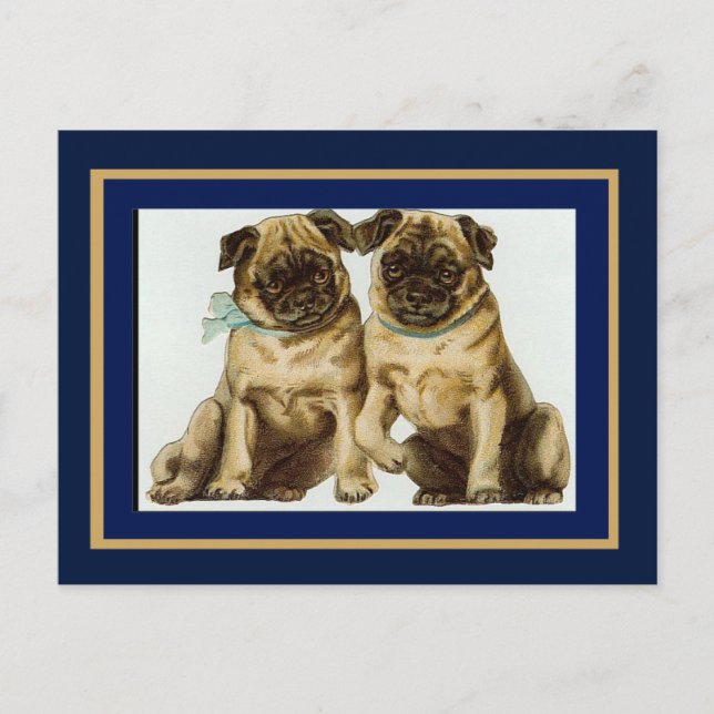 Cartes postales anciennes chiens carlin (Devant)