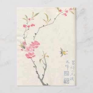 Cartes postales anciennes Fleurs asiatiques
