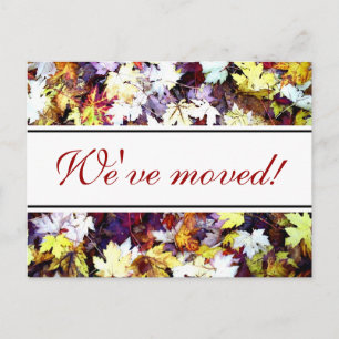 Cartes postales animées de feuilles d'automne   Sc