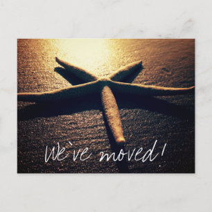 Cartes postales animées d'étoiles de mer pour la n