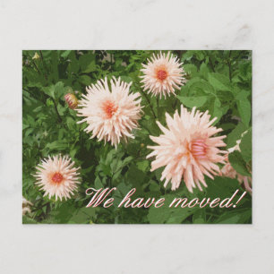 Cartes postales animées florales avec fleur de chr