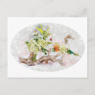 Cartes postales aquarelles Hydrangeas Bella