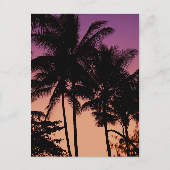 Cartes postales australiennes (Devant)