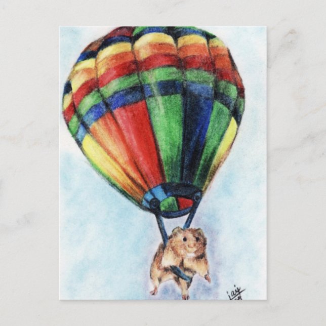 Cartes postales Balloon Ride (Hamster) (Devant)