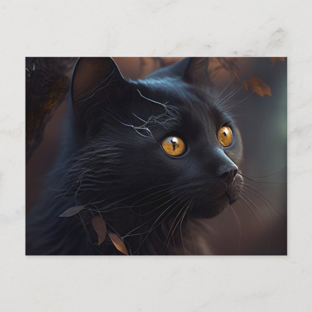 Cartes Postales Black Cat (Devant)