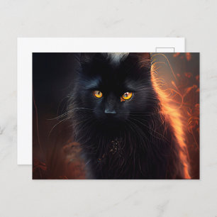 Cartes Postales Black Cat