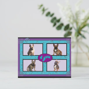 Cartes postales bouledogues français "4 you"