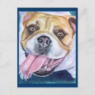 Cartes postales Bulldog anglais