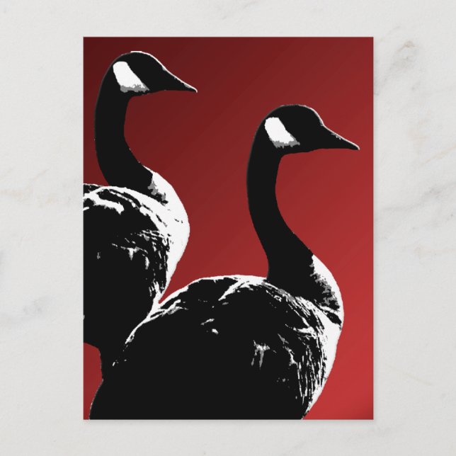 Cartes postales Canada Custom Canada Goose Cartes  (Devant)
