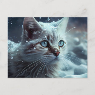 Cartes Postales Cat Divers