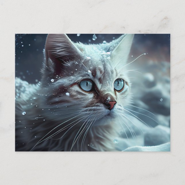 Cartes Postales Cat Divers (Devant)