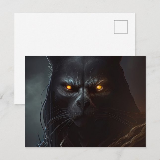 Cartes Postales Chat capuche (Devant / Derrière)