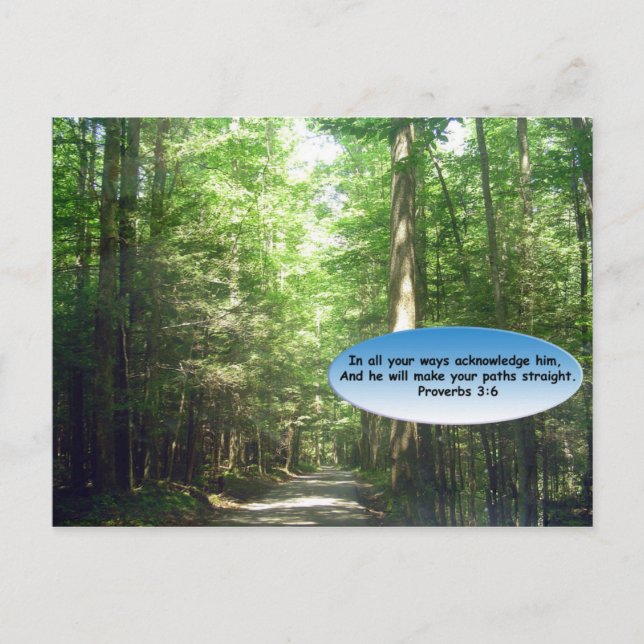 Cartes postales: Chemin dans la forêt (Devant)
