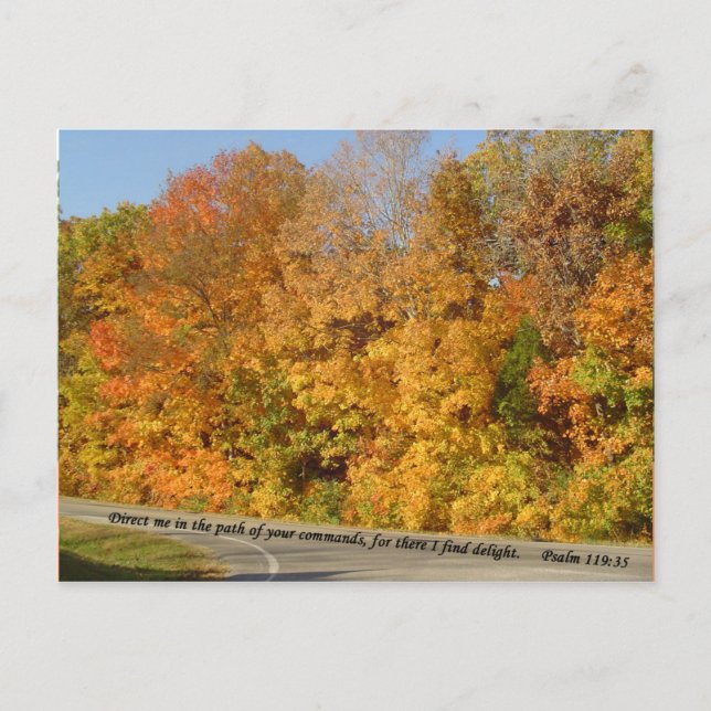 Cartes postales : Chemin vers le plaisir (Devant)