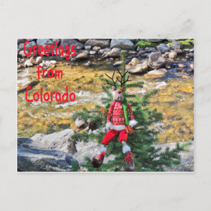 Cartes postales "Chump Christmas"