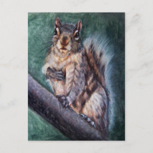 Cartes postales Coeur (écureuil)