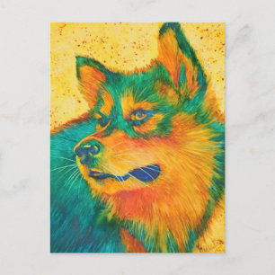 Cartes postales colorées Amoureux de les chiens en