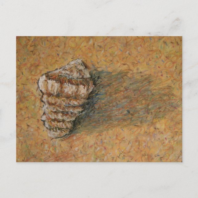 Cartes postales Conch Seashell Sand Beach (Devant)