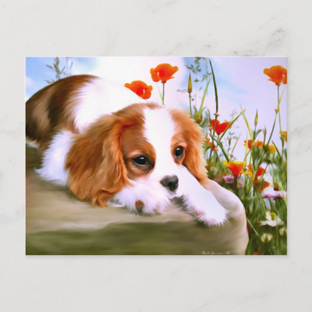 Cartes postales conçues par Beate Jonassen. (Devant)
