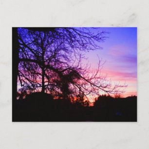CARTES POSTALES - COUCHER DE SOLEIL SUR RIVERTON