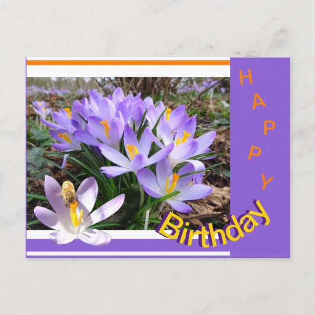 Cartes postales d'anniversaire Crocus avec Abeille (Devant)