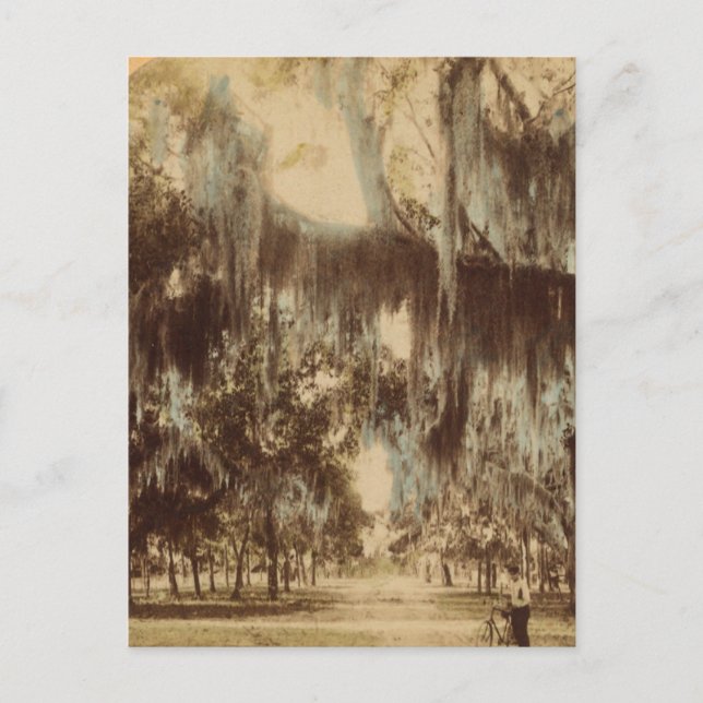 Cartes postales Daytona (Devant)