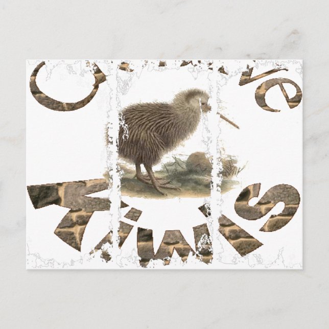 Cartes postales de 3 grandes tailles (Devant)