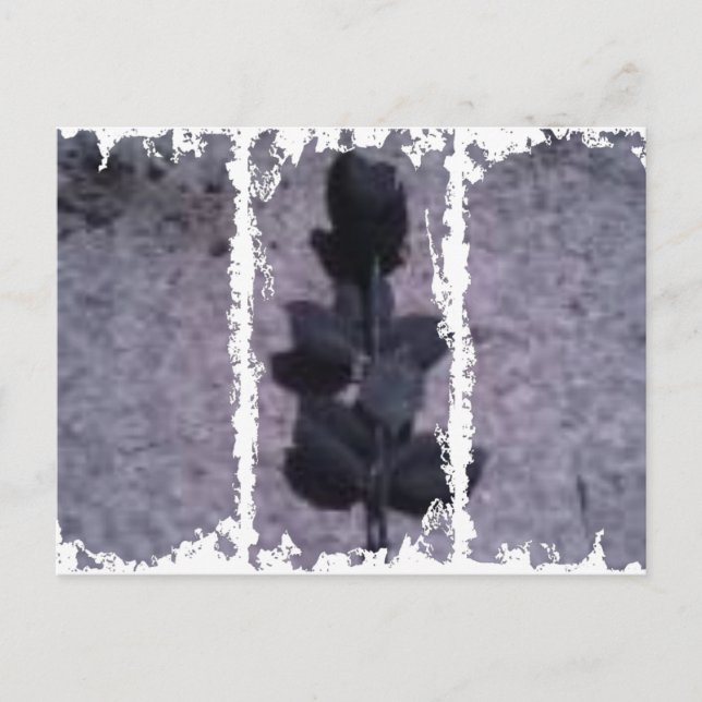 Cartes postales de 3 grandes tailles (Devant)