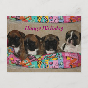 Cartes postales de Bouledogues Français