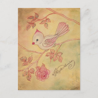 Cartes postales de Cardinal femelle Look Vintage
