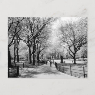 Cartes postales de Central Park