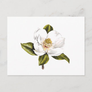 Cartes postales de changement d'adresse - ensemble