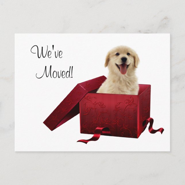 Cartes postales de changement d'adresse pour chiot (Devant)